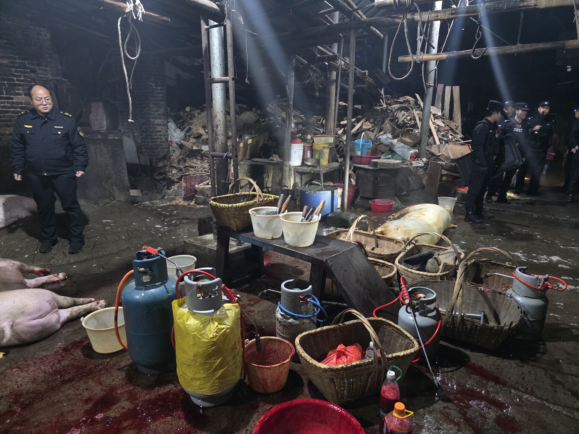 市县联合凌晨出击 捣毁私屠滥宰窝点 筑牢肉品安全防线