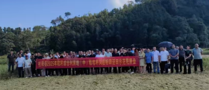 桂阳正和镇“四措并举”筑牢秸秆禁烧防线，守护秋收季生态安全