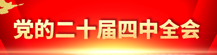 党的二十届四中全会