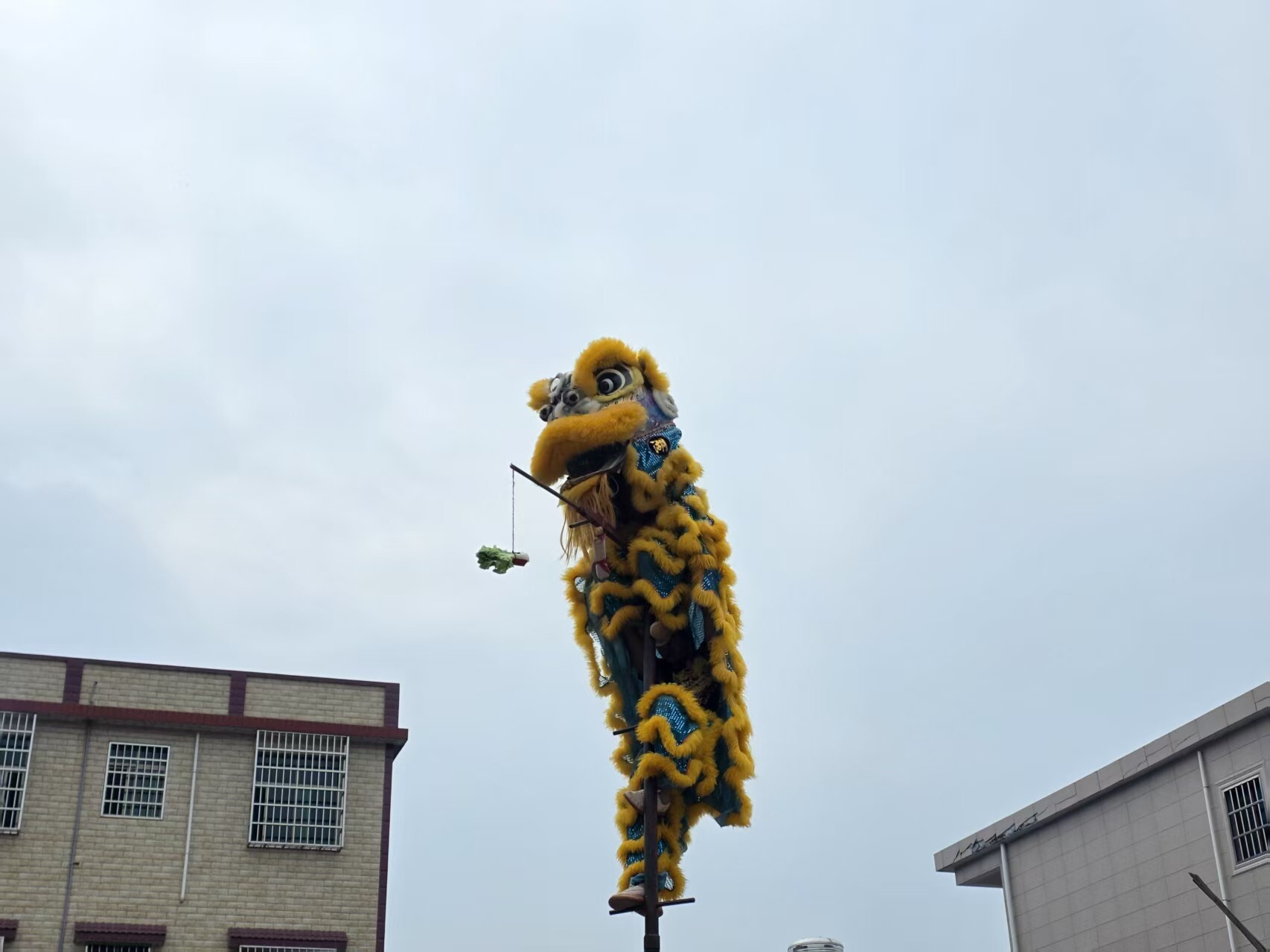 我们的节日·重阳 |舂陵江镇源潭村：爱心人士反哺家乡 重阳敬老暖人心