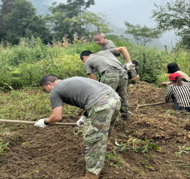 “干部下田挖玉竹，暖心帮扶促增收”  ——欧阳海镇干部助力乡村振兴采收玉竹