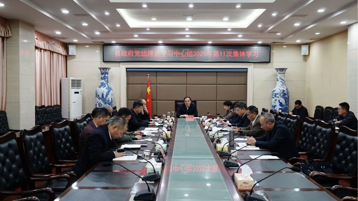县政府党组理论学习中心组开展2025年第11次集体学习