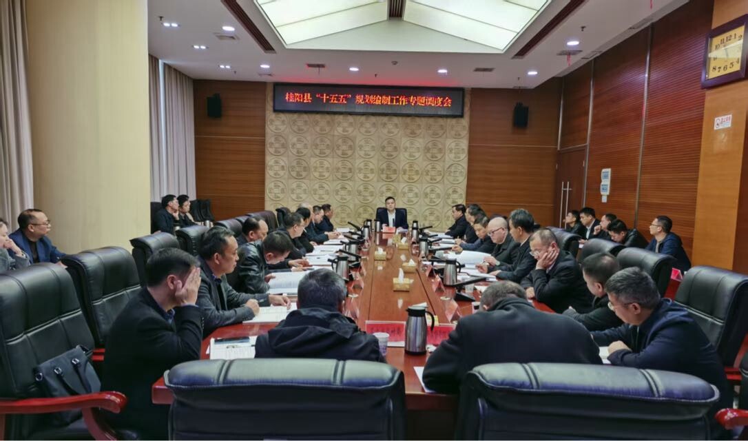 巫初华主持召开桂阳县“十五五”规划编制工作专题调度会