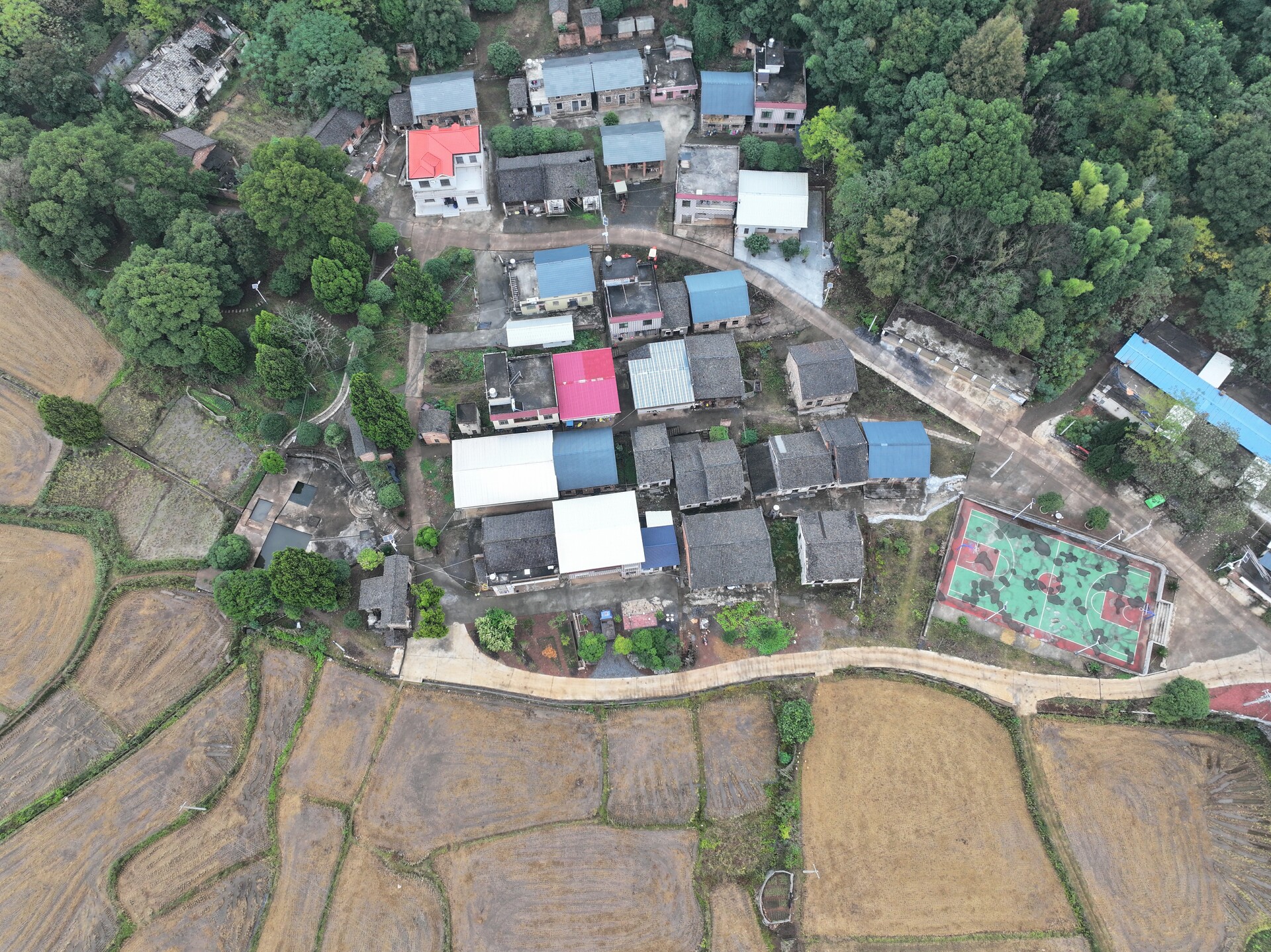 仁义镇大湖村：擦亮乡村治理底色  移民生活实现美丽蝶变