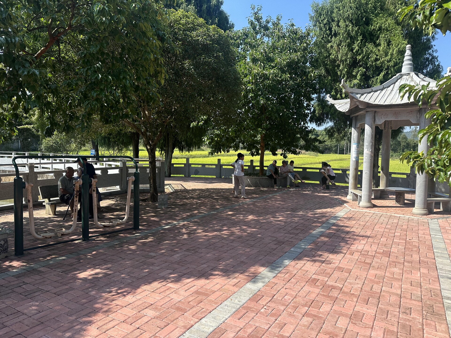 仁义镇：从“移居”到“宜居”的蝶变