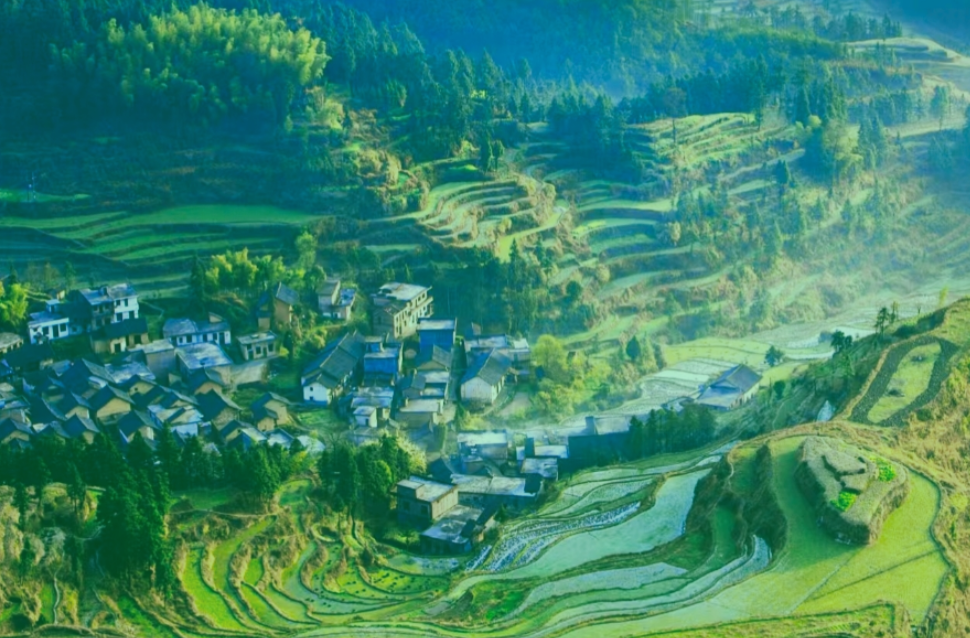 散文 | 白水西流录