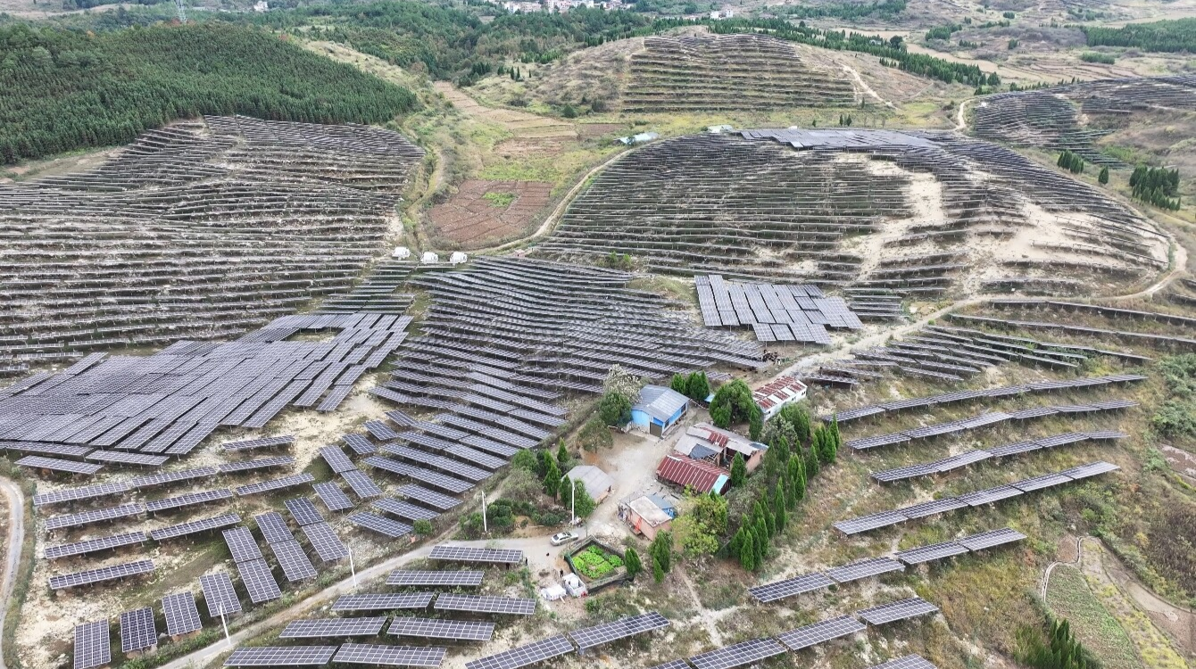 塘市镇茶园村：“三驾马车”拉响乡村振兴特色曲