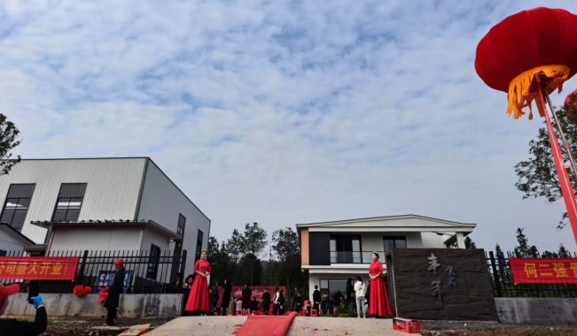 仁义镇丰年食品有限公司：传统手艺的电商转型之路