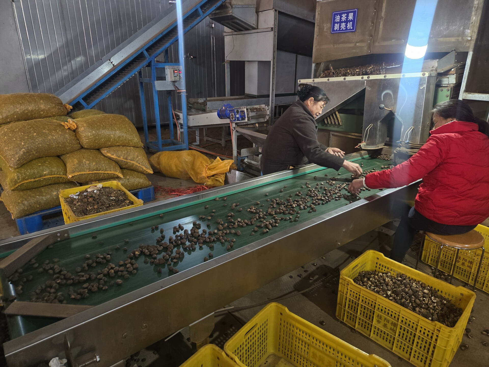 深入推进“六大新行动” 全面实施“七大攻坚” ｜机械自动化加工助力35万亩油茶丰收