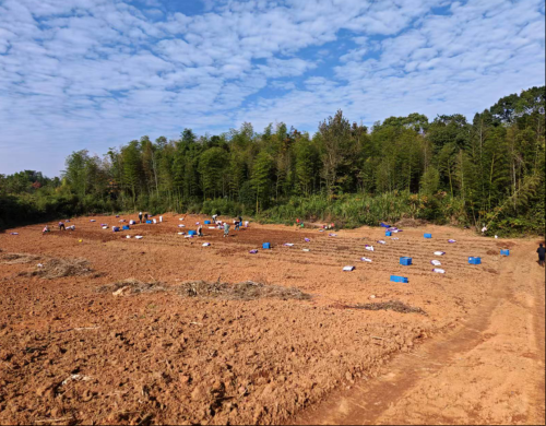 太和镇：“银发”力量赋能产业发展