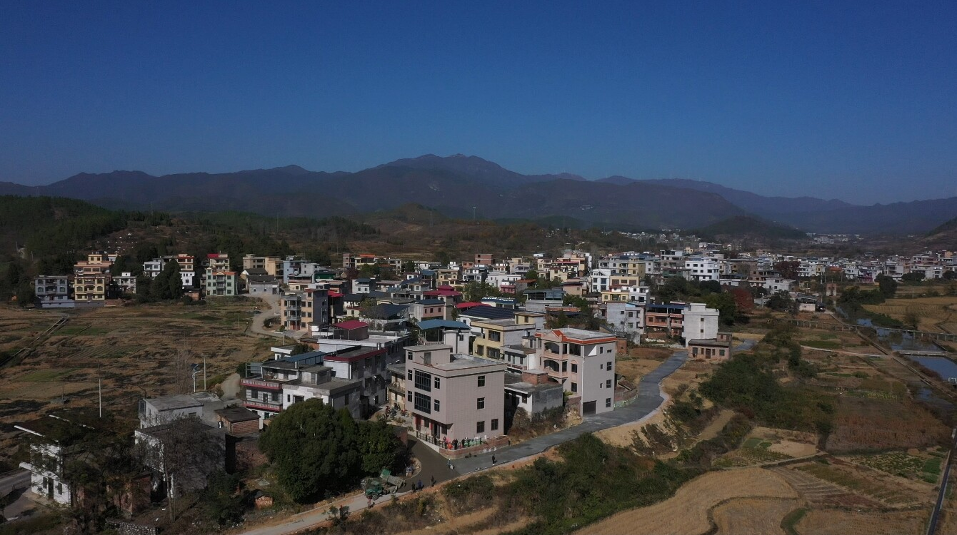 践初心 办实事 | 莲塘镇下塘村：“幸福路”联通民心与富足