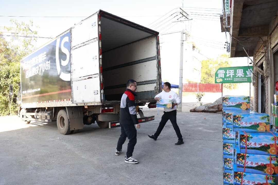 深入推进“六大新行动” 全面实施“七大攻坚”丨快递车进村：解决冰糖橙集中上市“甜蜜”烦恼