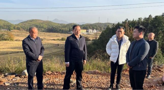 李志强到桂阳高新区现场办公