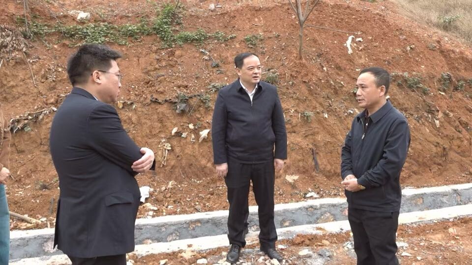 李志强到桂阳高新区现场办公