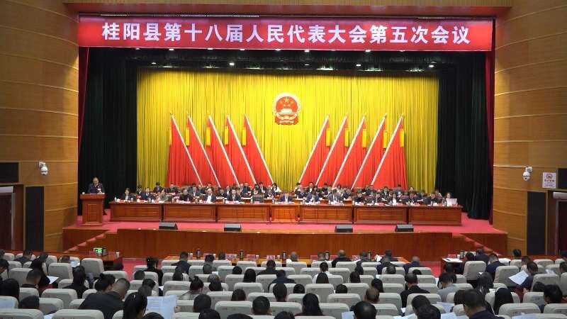 聚焦两会 | 县第十八届人民代表大会第五次会议举行第二次全体会议