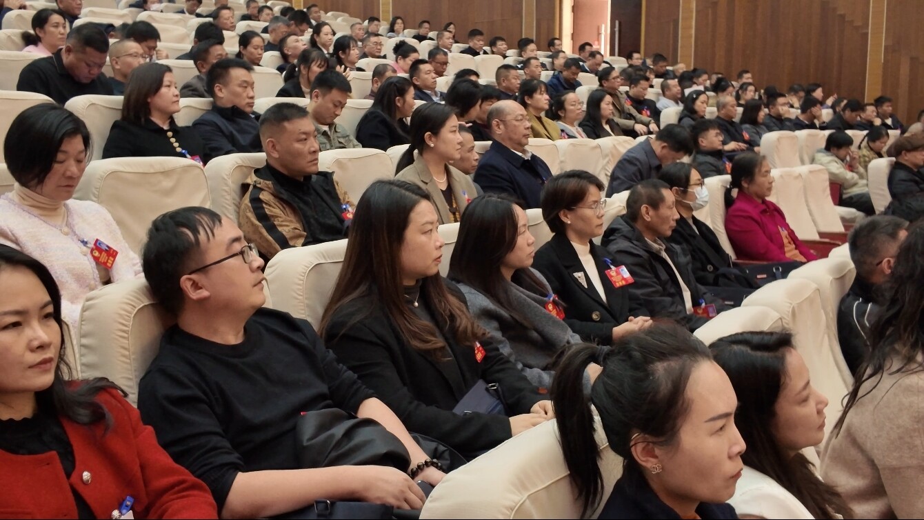 聚焦两会|大会闭幕后委员谈感受 共谋桂阳发展新篇章