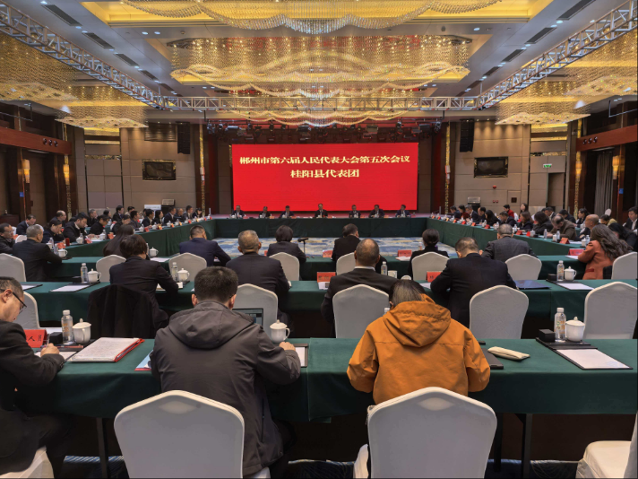 关注市六届人大五次会议｜肖扬参加桂阳代表团讨论审议