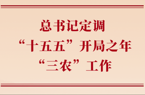 第一观察丨总书记定调“十五五”开局之年“三农”工作