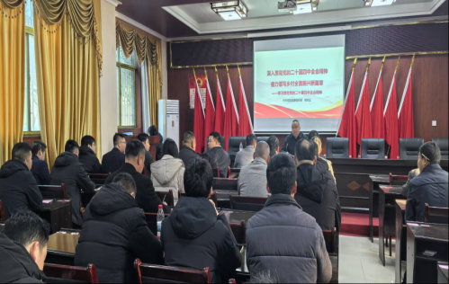 学习贯彻党的二十届四中全会精神|县委宣讲团走进洋市镇宣讲