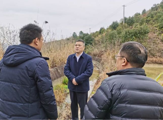 巫初华督导检查农业生产、基层治理、农村人居环境整治等工作