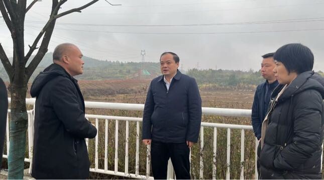 李志强到桂阳高新区现场办公