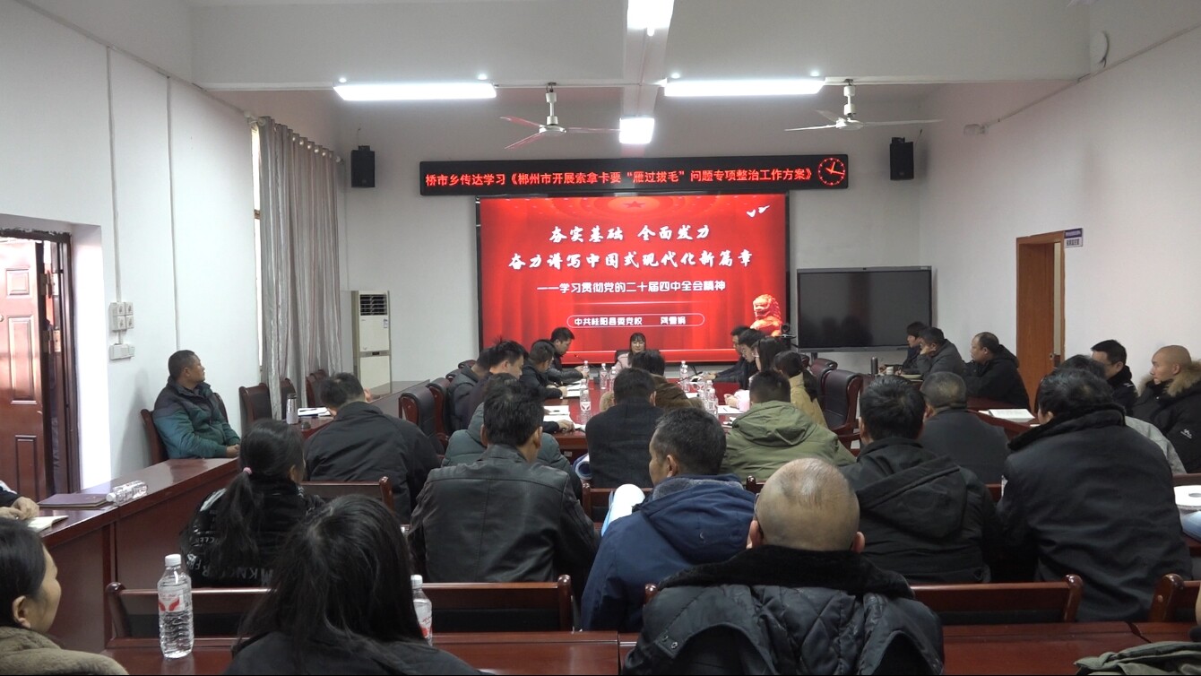 学习贯彻党的二十届四中全会精神|县委宣讲团到桥市乡宣讲