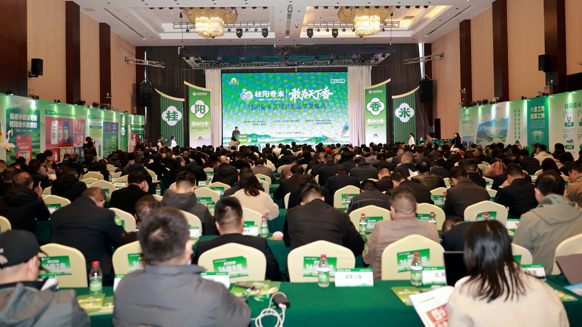 “桂阳香米”区域公用品牌发布会举行