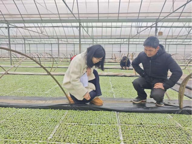 多维发力 筑牢低温雨雪冰冻天气防御防线
