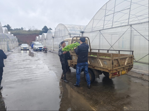 新春开工即冲刺 实干担当展作为——樟市镇节后复工起新篇