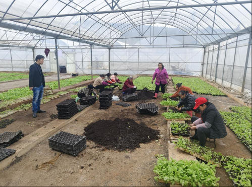 桂阳县樟市镇:万象“耕”新不负春