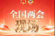 3位全国人大代表热聊——怎么让龙舟赛成为下一个“湘超”