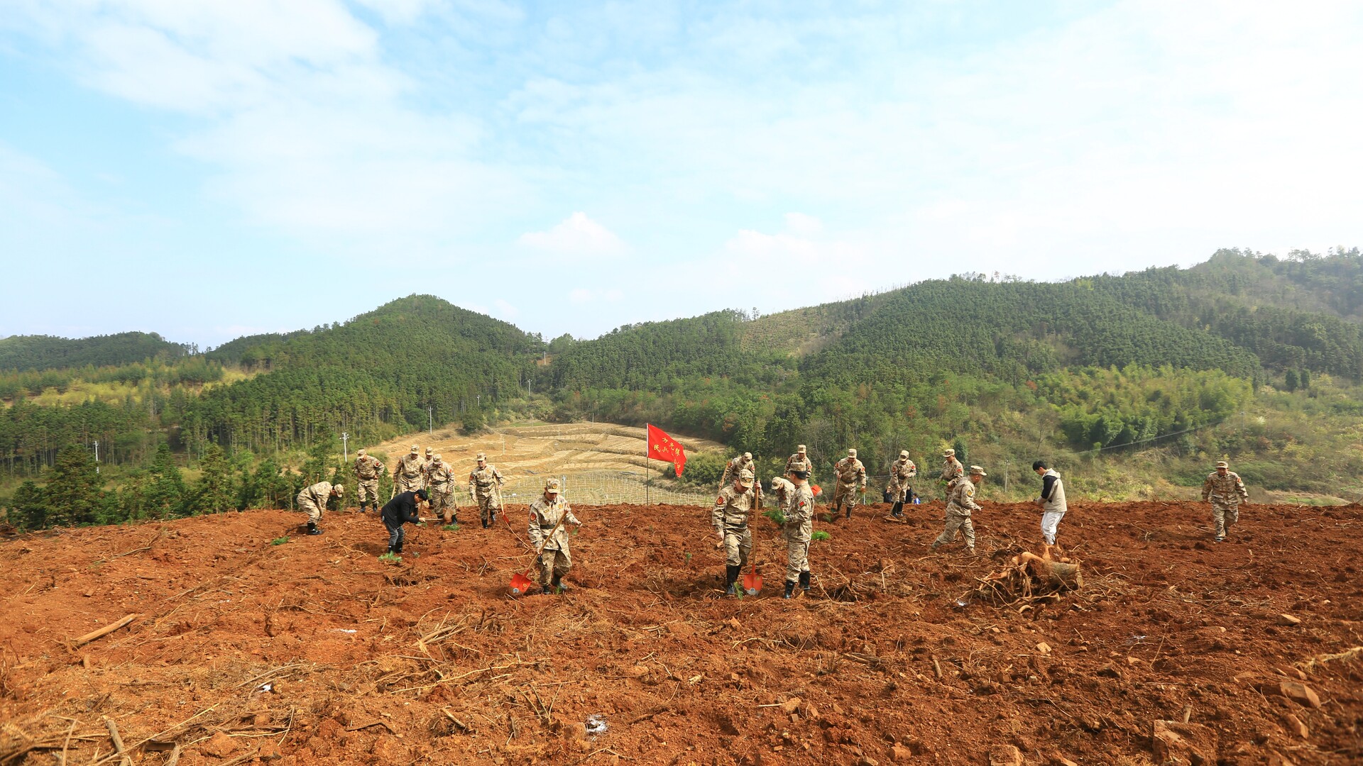 方元镇：荒山披新绿 军民同心共栽杉树苗