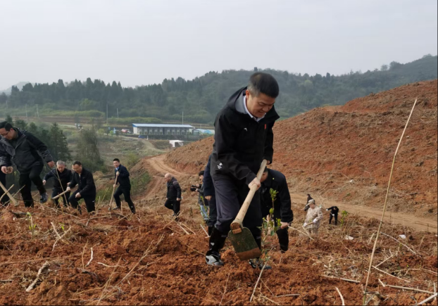 我县开展2026年春季全民义务植树活动