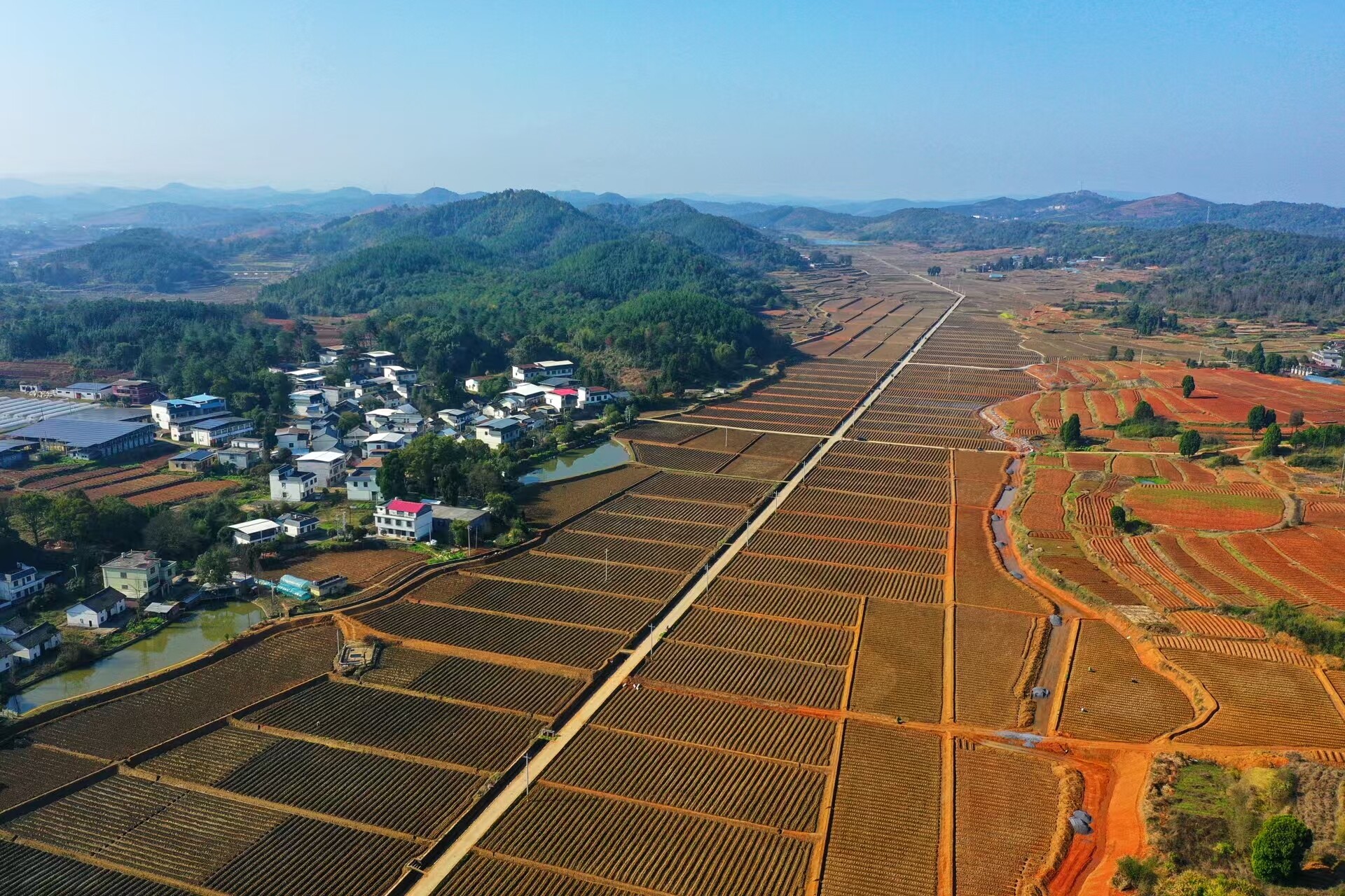 我县2.9万亩高标准农田建设如火如荼