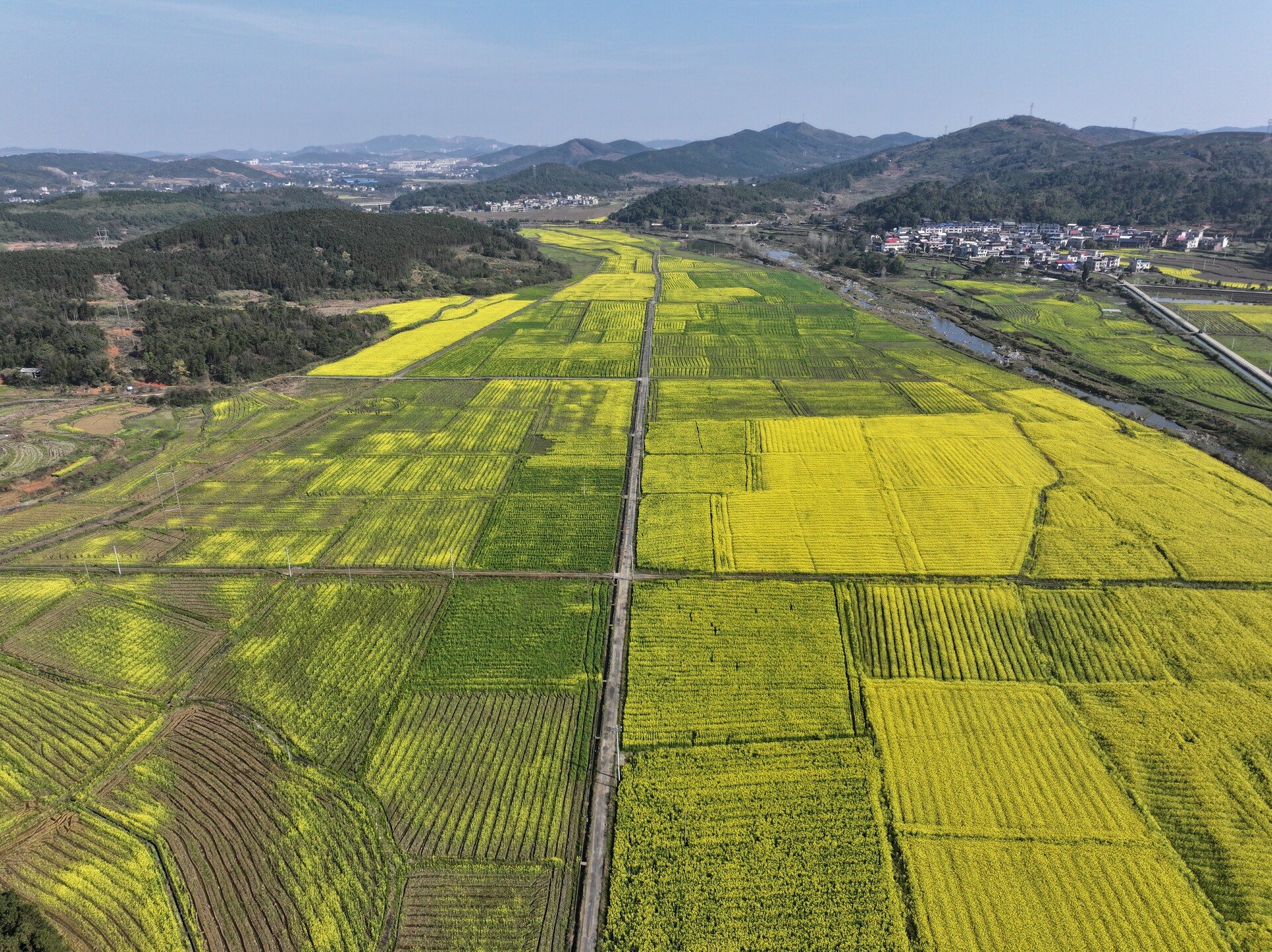 太和镇：千亩油菜花海“上新”  春季“顶流”助力乡村振兴