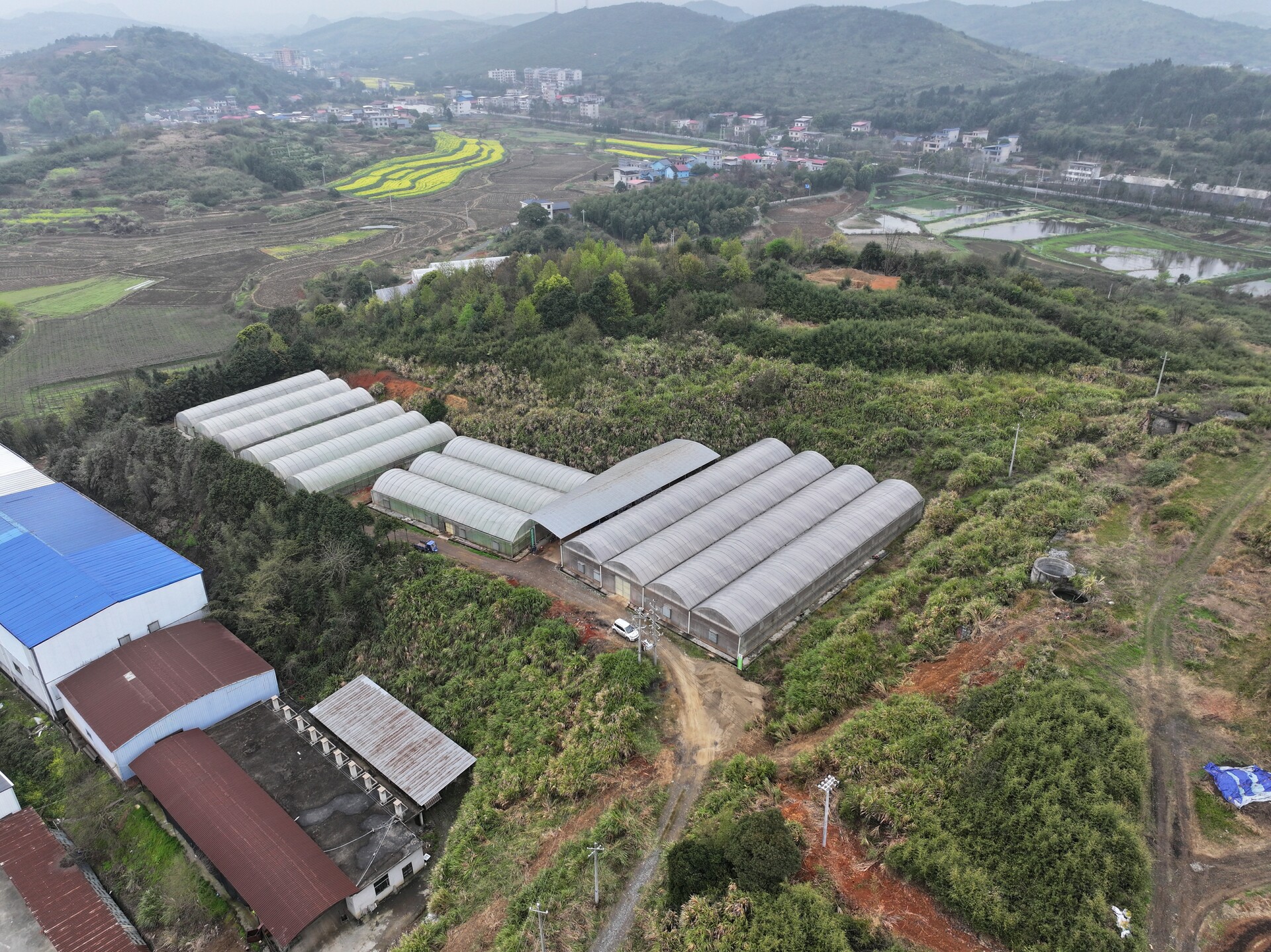 持续深化“六大新行动” 全力实施“开局八好”|​6.6万亩早稻育秧忙 机械化助力春耕生产