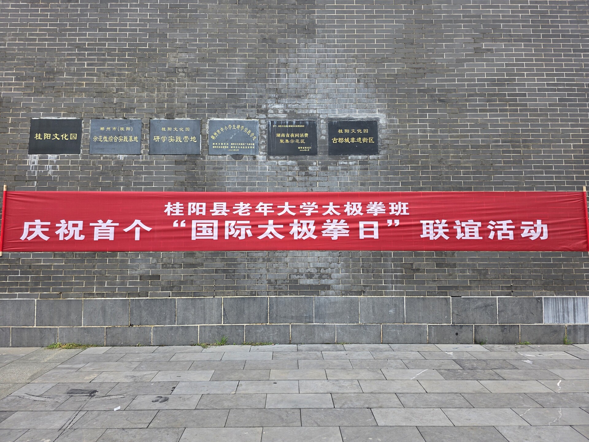 县老年大学庆祝首个“国际太极拳日”