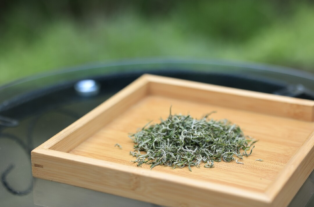 持续深化“六大新行动”   全力实施“开局八好”丨桥市乡千亩雾茶飘香   “迷彩绿”抢采“明前茶”