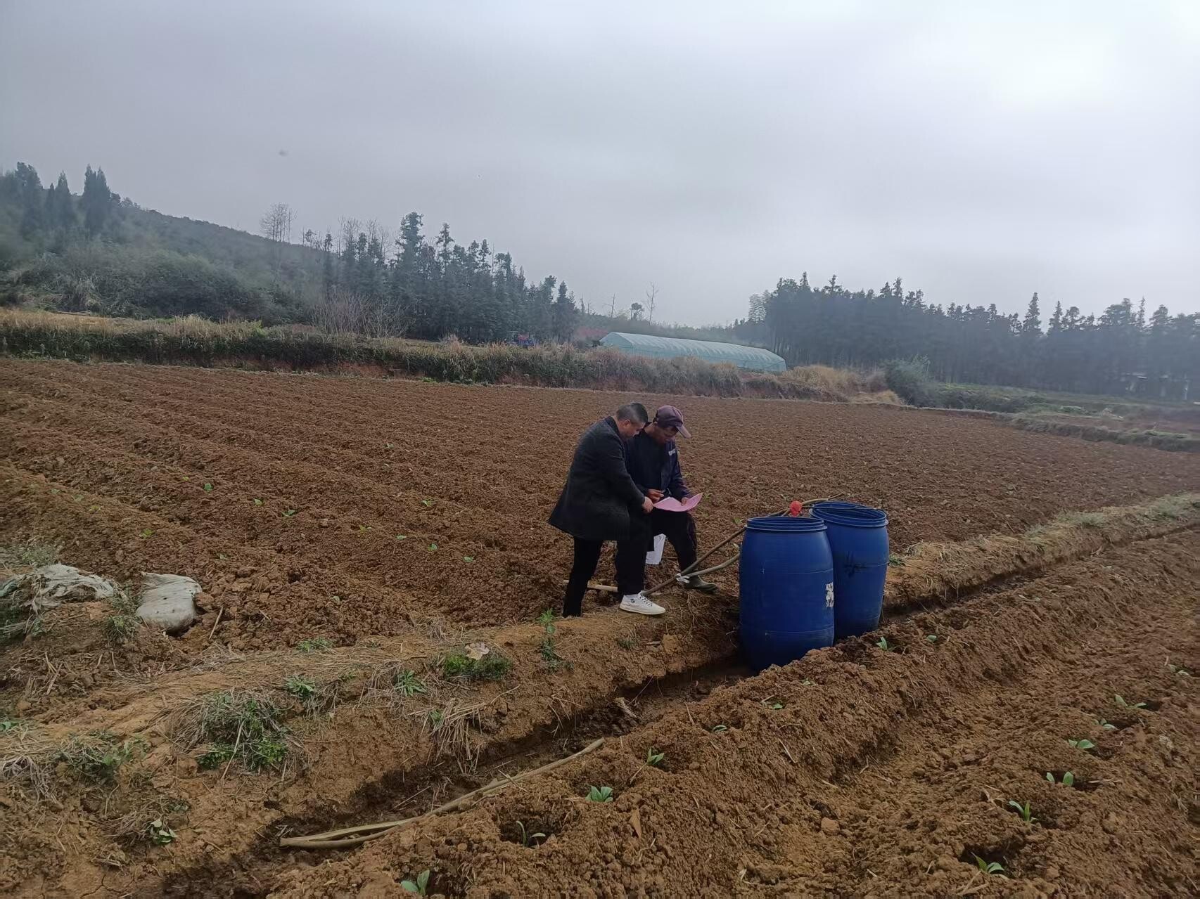 桂阳县樟市镇：田间地头话安全 筑牢野生蘑菇“防火墙”