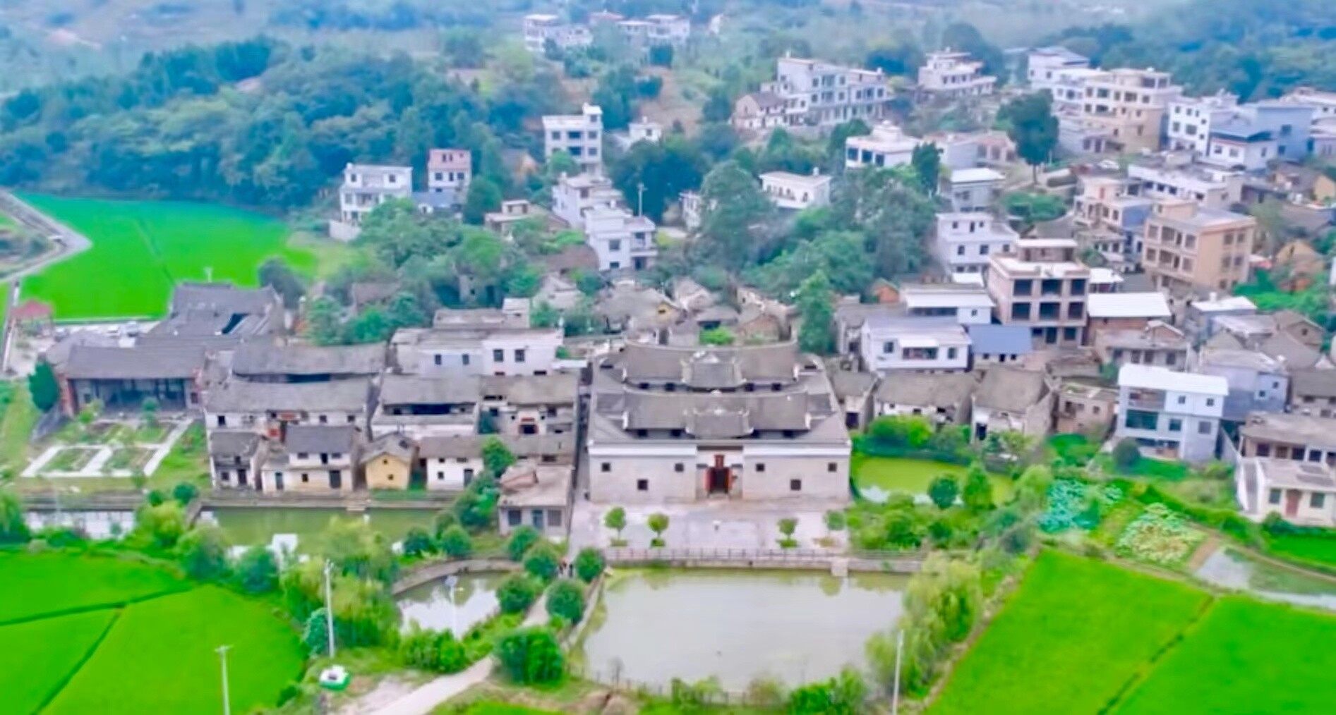 莲塘镇大湾村：绘就传统村落保护新篇