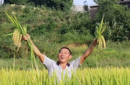 矢志守乡土，躬耕筑粮安  ——记塘市镇优秀种粮大户黄承粮