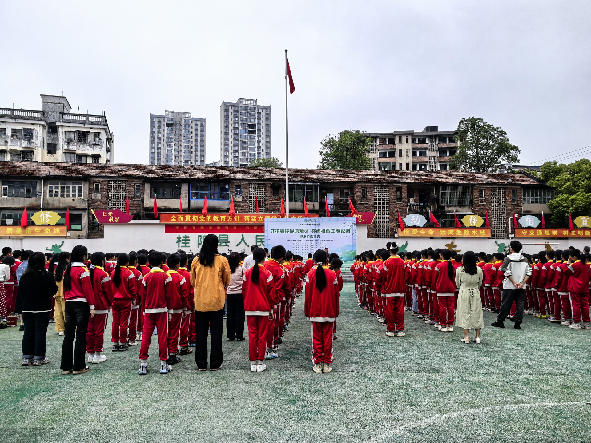 我县开展“爱鸟周”宣传活动：守护舂陵湿地精灵 共建和谐生态家园