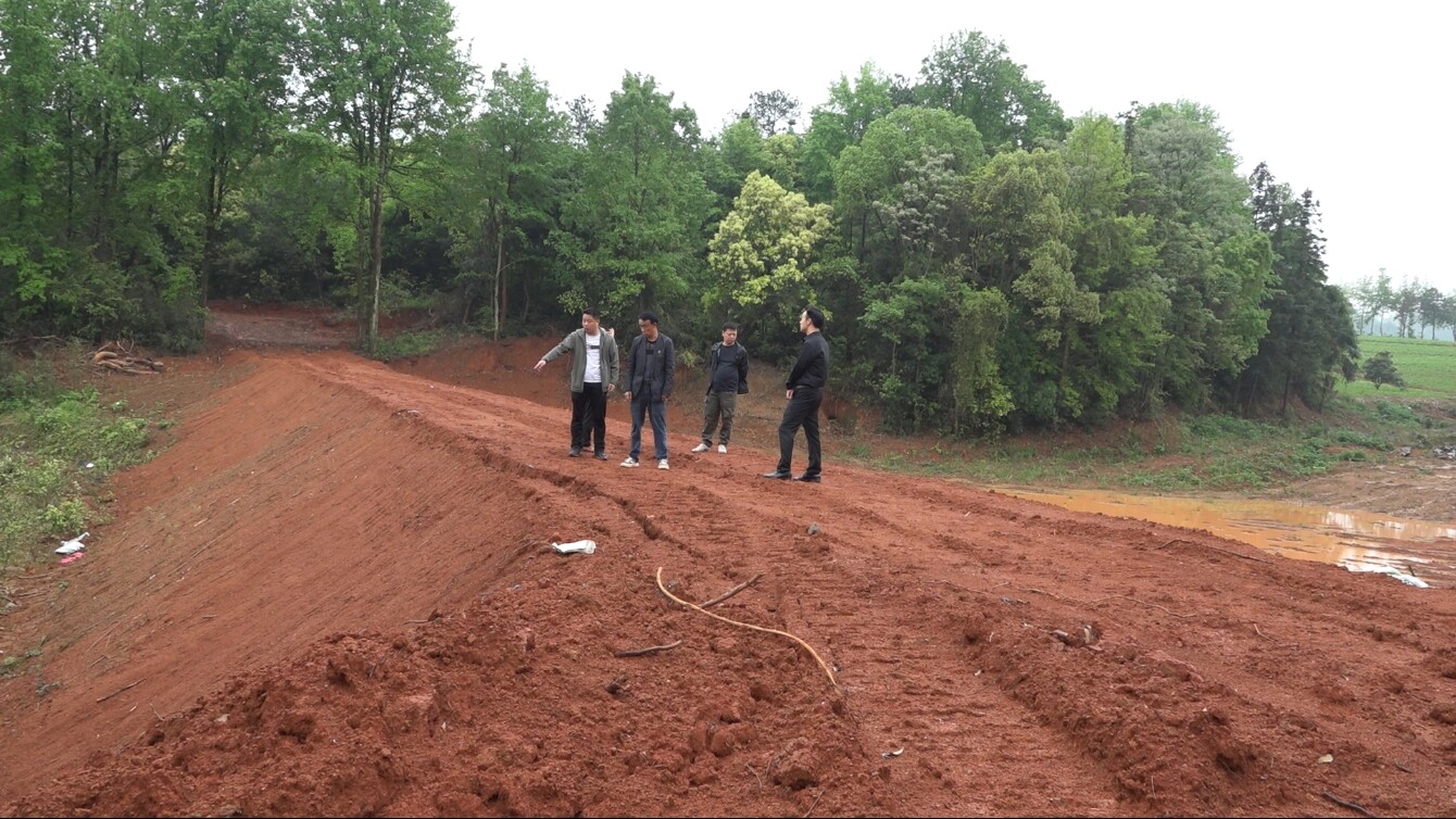 践初心 办实事  |    樟市镇：水利工程建设加快推进   保障农田灌溉用水