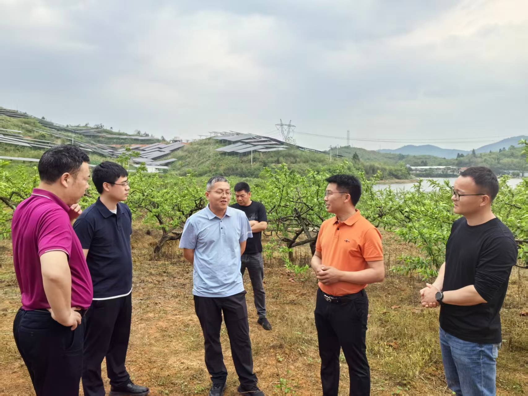 桂阳洋市镇：省市专家“把脉问诊”黄桃产业