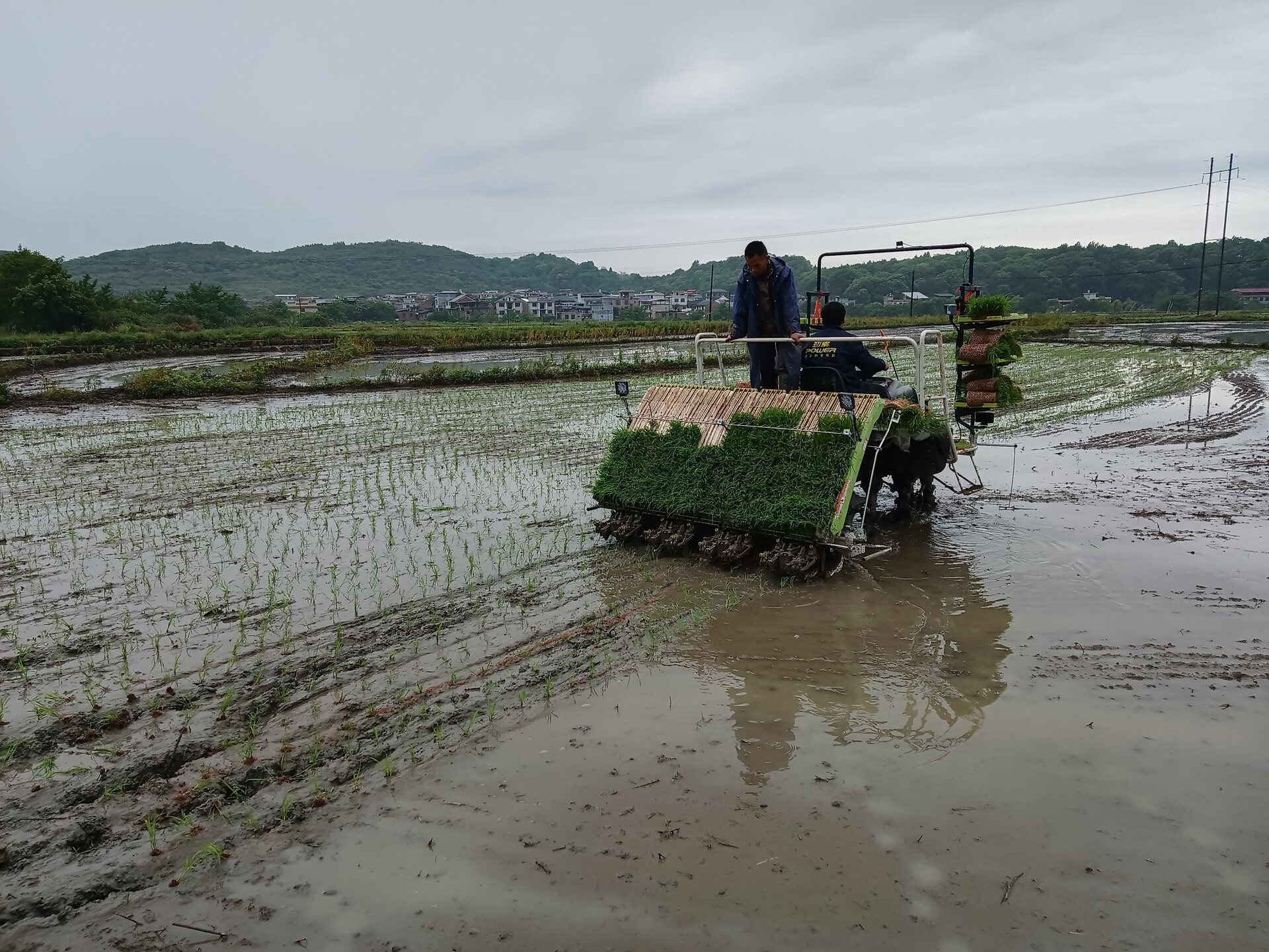 持续深化“六大新行动” 全力实施“开局八好”｜ 机械化助力粮食稳产  我县春耕跑出“加速度”