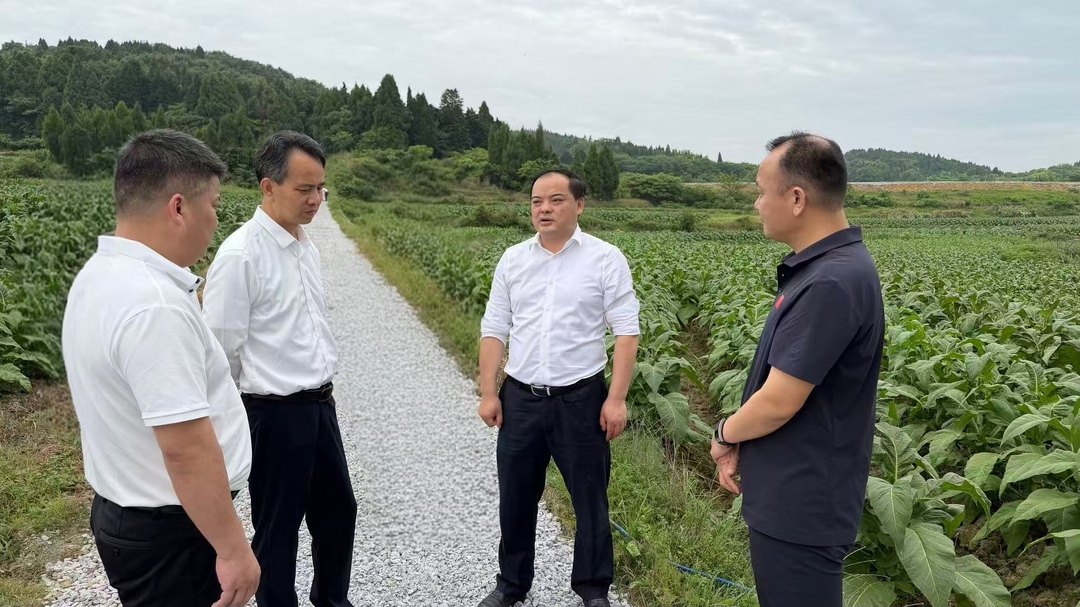 李志强调研重点项目（以工代赈项目）建设及防汛备汛工作