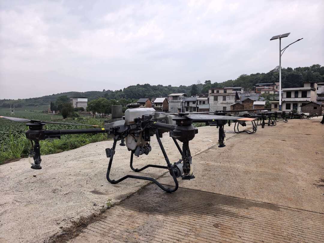 持续深化“六大行动” 全力实施“开局八好” |科技赋能  无人机“兵团”护航烟叶丰产