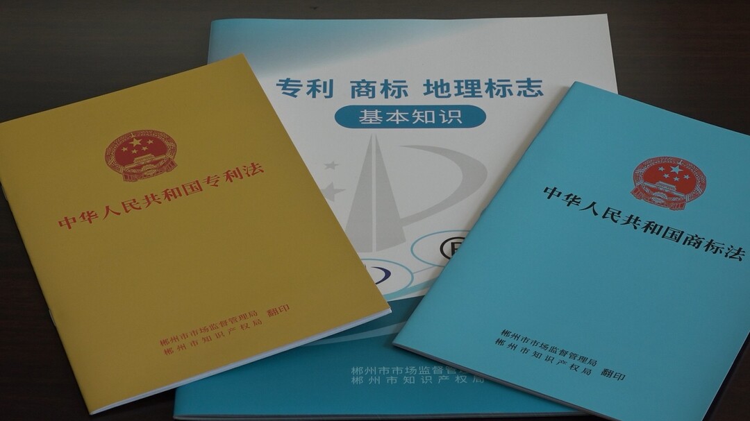 我县开展高价值专利培育、校地合作暨商标注册培训