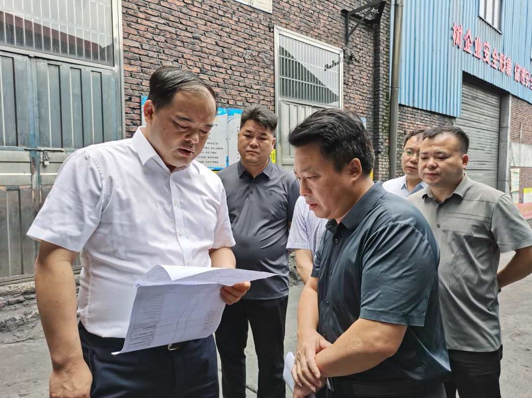 李志强督导检查生态环境问题整改、防汛备汛工作