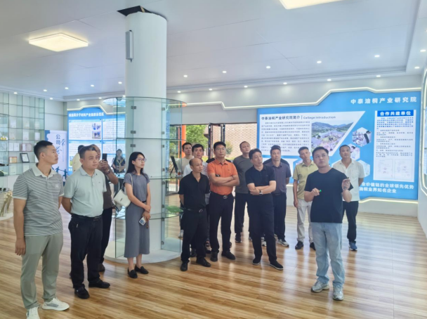 ​桂阳洋市镇：支书取经学产业 聚力打造“油桐小镇”